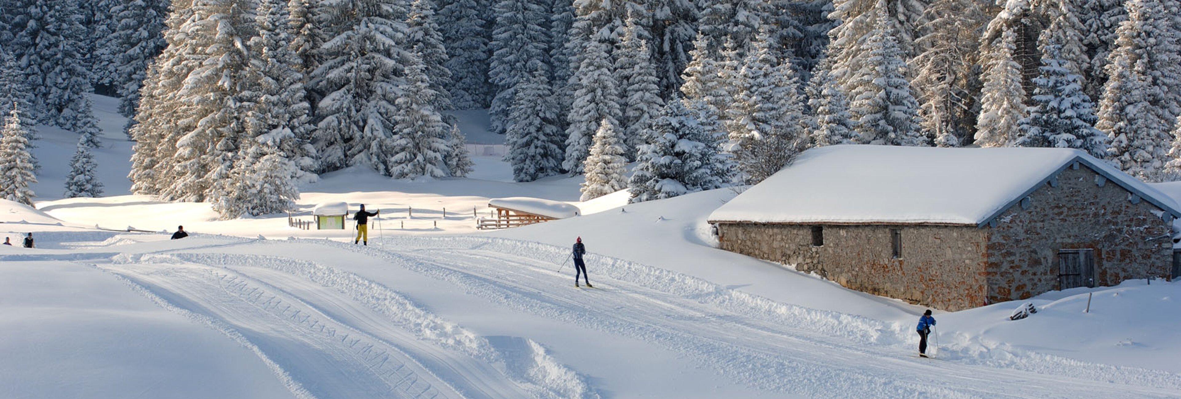 Centro Fondo Di Passo Coe Folgaria Comprensori Sciistici Sci Di