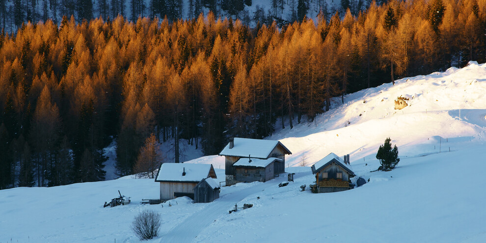 Trentino: wo die Natur zu Hause ist