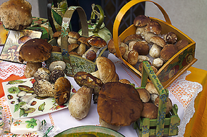 Festa delle Brise - Mushroom Festival