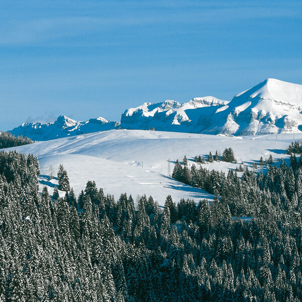 Passo Brocon-Marande