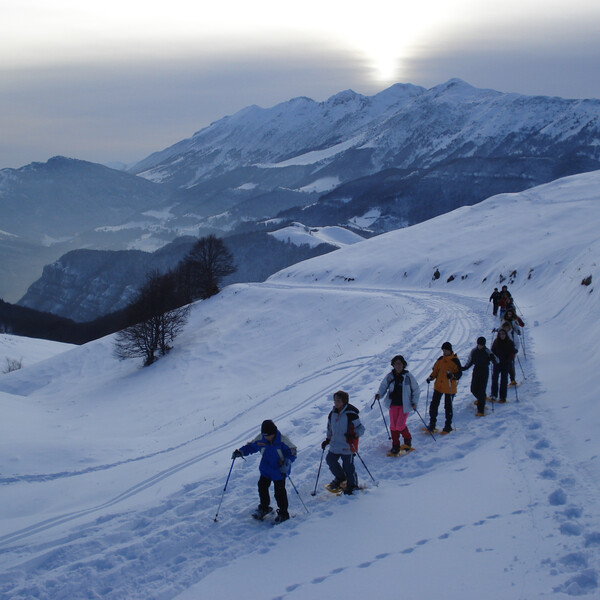 Parco_Monte_Baldo_Nicola_Campostrini | © Parco_Monte_Baldo_Nicola_Campostrini