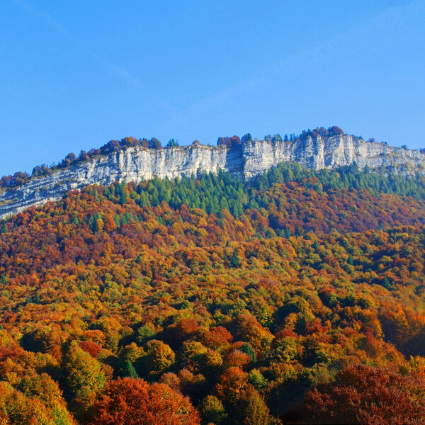 Parco_Monte_Baldo_Autunno_Nicola_Campostrini | © Parco_Monte_Baldo_Autunno_Nicola_Campostrini