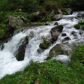 Oasi Valtrigona - photo Associazione WWF Trentino | © Oasi Valtrigona - photo Associazione WWF Trentino