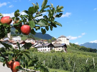 APT Val di Sole - Castel Caldes - ph. Dario Andreis | © APT Val di Sole - Castel Caldes - ph. Dario Andreis