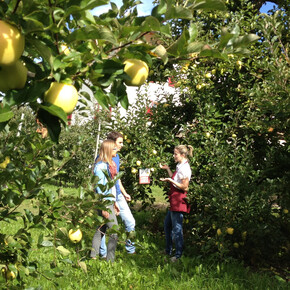 Herfst met smaak