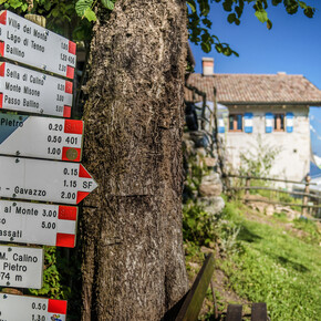 Panoramische lentewandelingen