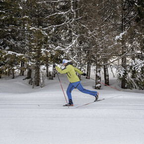 Cross-country skiing!