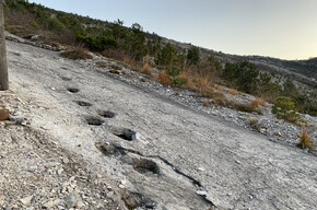 Orme dei dinosauri