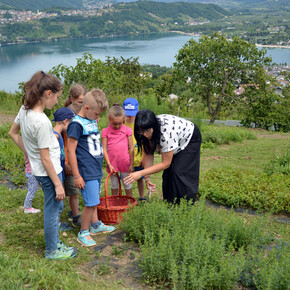 Educational farms