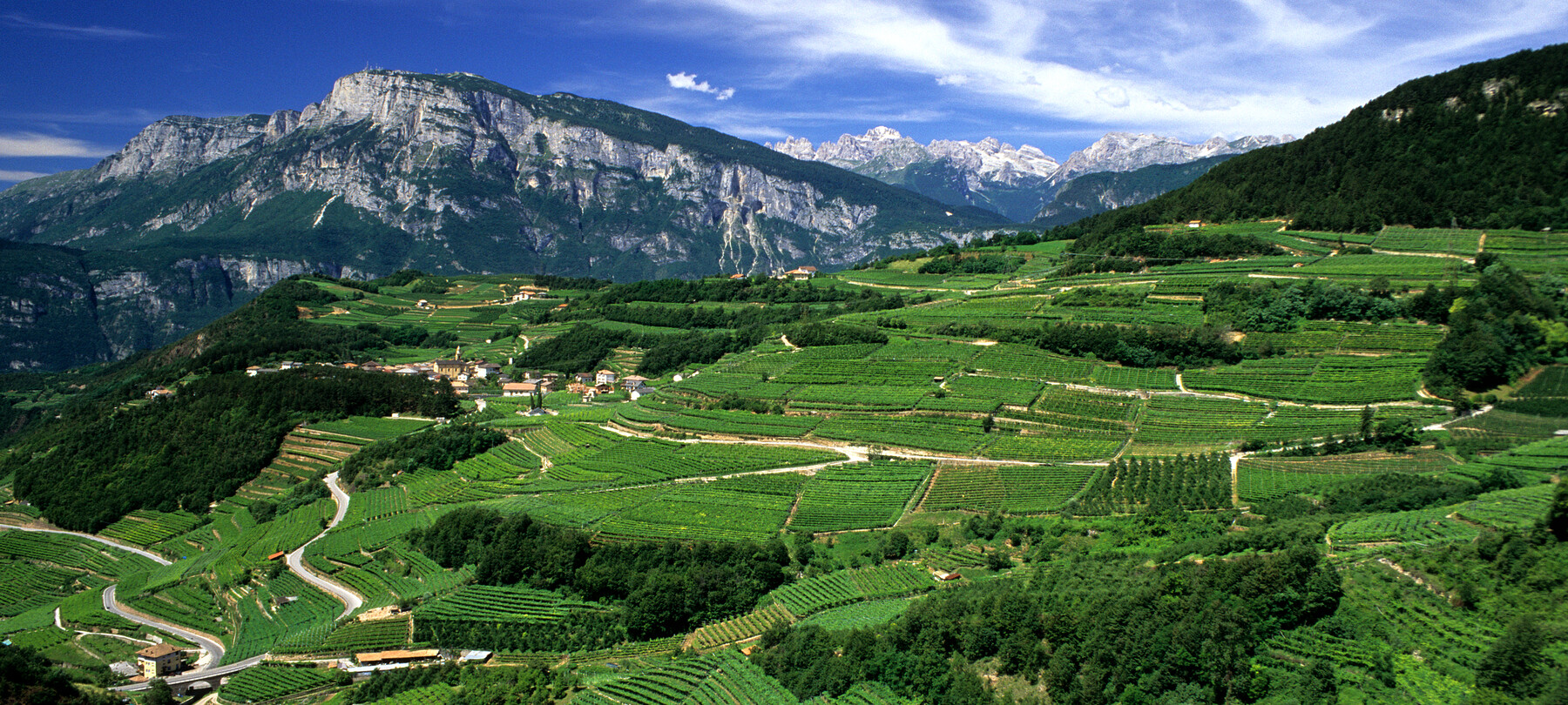 Smak Trentino w jednej lampce wina