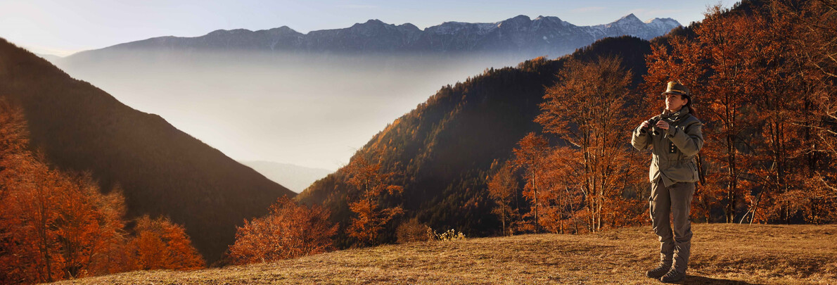 Das Gebirge im Herbst? Ein ganz anderes Schauspiel!