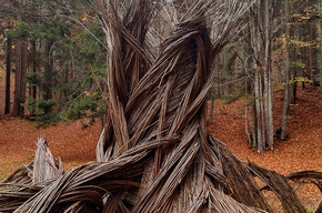 Percorso del Respiro degli Alberi | © Azienda per il Turismo Alpe Cimbra