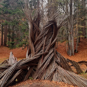 The Breath of the Trees - Lavarone | © Azienda per il Turismo Alpe Cimbra