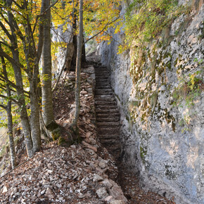 Forra del Lupo - Wolfsschlucht | © Azienda per il Turismo Alpe Cimbra