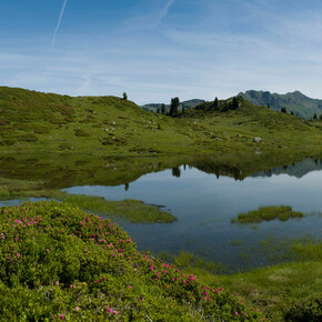 Lagorai Überquerung | © APT Val di Fiemme
