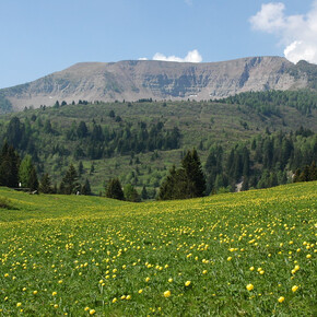 Der Rundweg um den Monte Peller | © APT Val di Non 