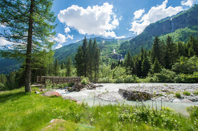 Bridge along the waterfalls route | © APT Madonna di Campiglio, Pinzolo, Val Rendena