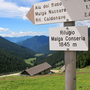 Hike to Rifugio Malga Conseria | © APT Valsugana e Lagorai