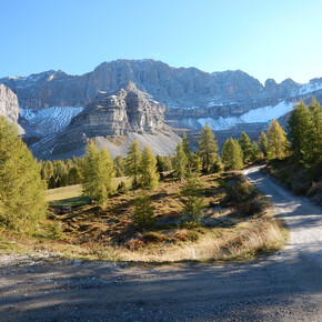 Trail delle Marmotte n°967 | © APT Madonna di Campiglio, Pinzolo, Val Rendena