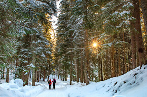 Wandern durch verschneiten Wald | © APT Dolomiti di Brenta e Paganella