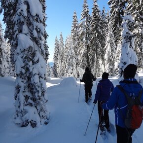 Snowshoe excursion to Fort Clemp | © APT Madonna di Campiglio, Pinzolo, Val Rendena