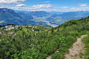Vason - Palon - Vason (mountain pine path) | © APT Trento 