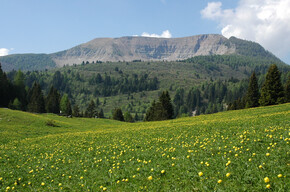 Tour 1438 - 8 bello del Peller: doppio anello al Monte Peller | © APT Val di Non Soc. Coop.