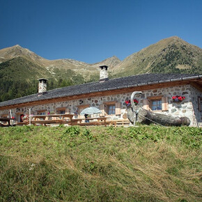 Tour 1430 - Malghe delle Maddalene | © APT Val di Non 
