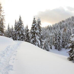 Impronte nella neve | © Garda Trentino