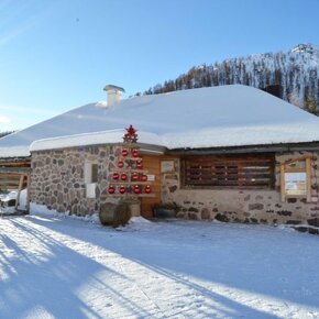 Malga Valcigolera | © APT San Martino di Castrozza, Primiero e Vanoi