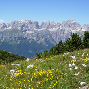 Panorama lungo il percorso | © APT Dolomiti di Brenta e Paganella