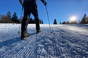 A piedi sulla neve al soleggiato Doss da Spin in Predaia | © APT Val di Non Soc. Coop.
