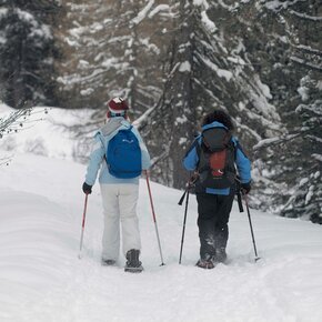 On the way | © APT Val di Fiemme