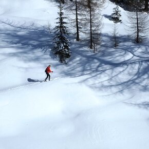 Skitouring | © APT Val di Fiemme