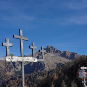 Trekking - Passo 5 Croci, il cuore verde della Catena del Lagorai | © APT Valsugana e Lagorai