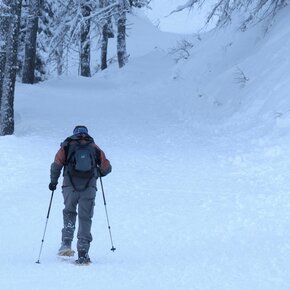 Sentiero ciaspole - Passo 5 Croci | © APT Valsugana e Lagorai