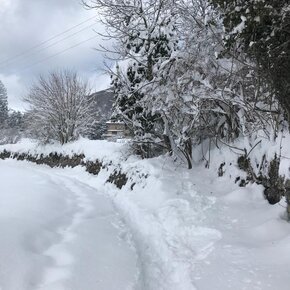 Snowshoeing at Malga Stabio | © Garda Trentino