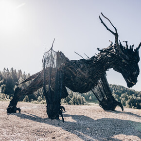 Lavarone Green Land - Drago Vaia - Partenza da Frazione Gionghi | © Azienda per il Turismo Alpe Cimbra