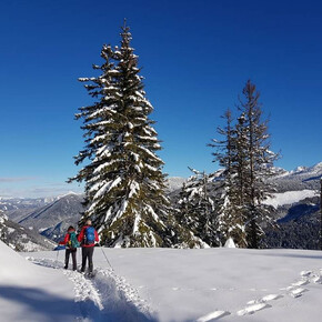 Dosso di Costalta von Dorf Miola im Winter | © APT Trento 