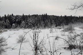 Wanderung zum Laghestel Biotop im Winter | © APT Trento 