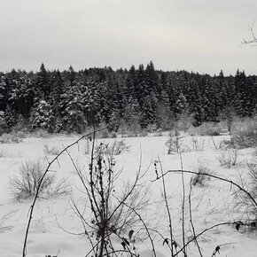 Wanderung zum Laghestel Biotop im Winter | © APT Trento 