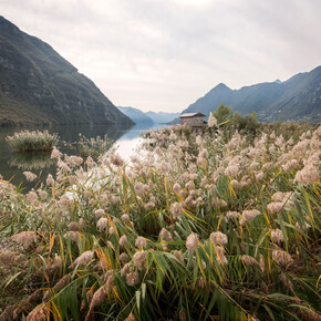 Biotop am Idrosee, eine Schatzkammer der Artenvielfalt | © APT - Madonna di Campiglio, Pinzolo, Val Rendena