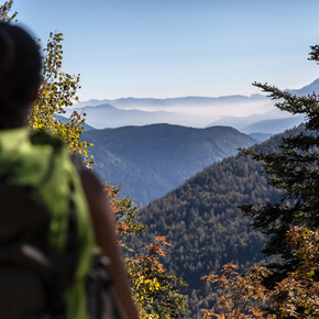 Uno degli scorci panoramici sulla Valle di Cembra che si incontrano salendo verso la torbiera del Lago di Valda | © Rete di Riserve Val di Cembra Avisio