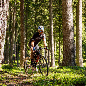 Gravel bike | © APT Val di Fiemme