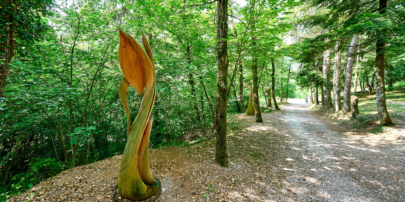 BoscoArteStenico - an Art Museum in Nature #6