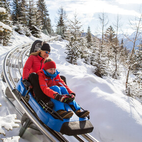 Alpine Coaster Gardonè