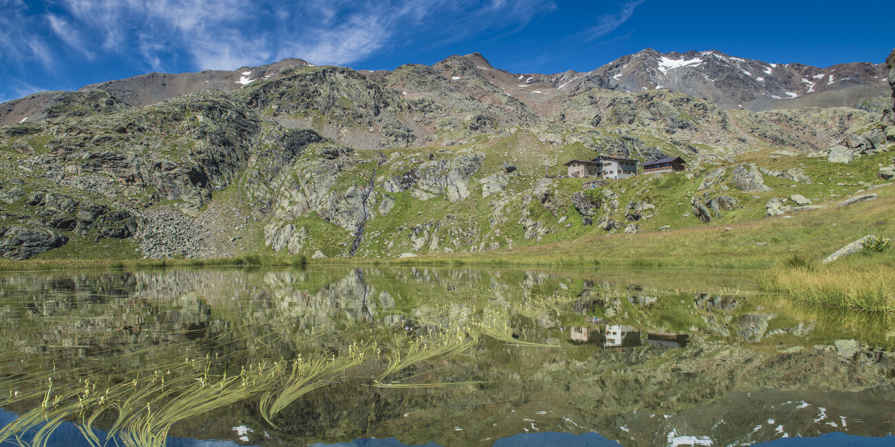 Rifugio Dorigoni #3