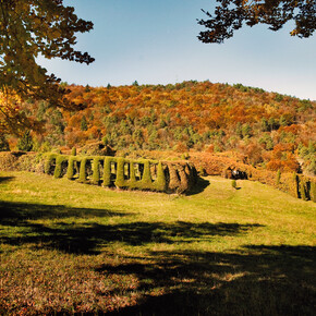 Val di Cembra - Roccolo del Sauch - Foliage