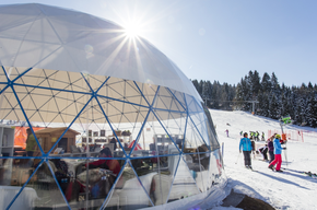 Biblioigloo & Kids Park Gaggia