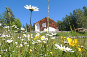 Val di Non - ristorante Il Falchetto